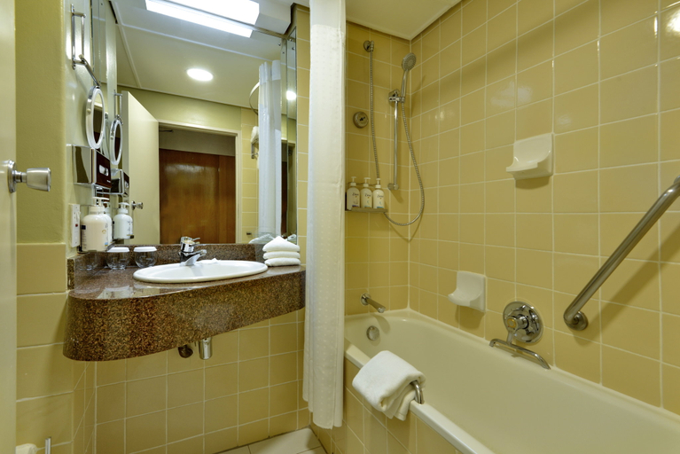 Holiday Inn HARARE by IHG Room Type - Standard Room