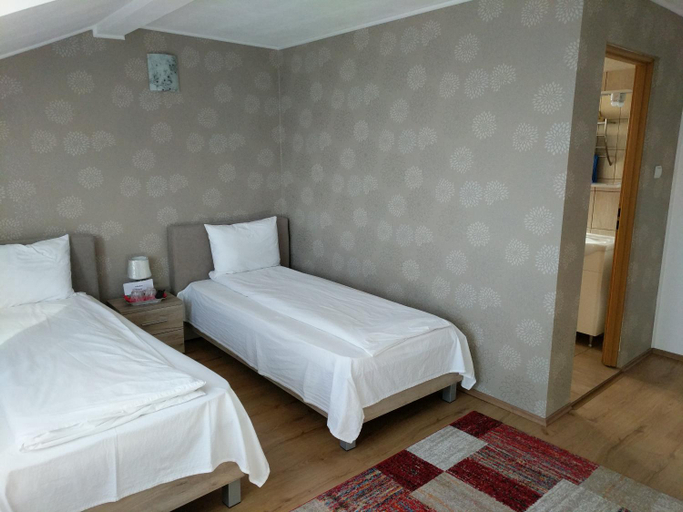 Others 3, Pensiunea Vladut Timisoara, Timisoara