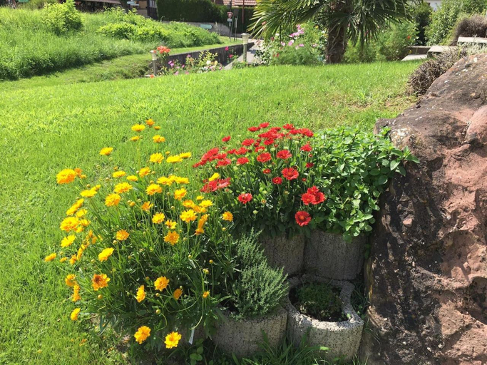 Others 4, Maison de la Sauer - Bed and Breakfast | Chambre d’hotes | Ferienhaus, Bas-Rhin