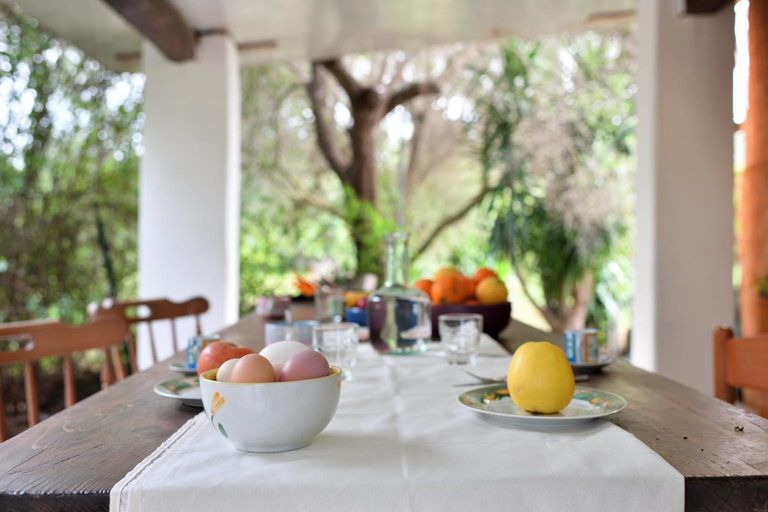 Food & Drinks, Casa vacanze Congiu, Ogliastra