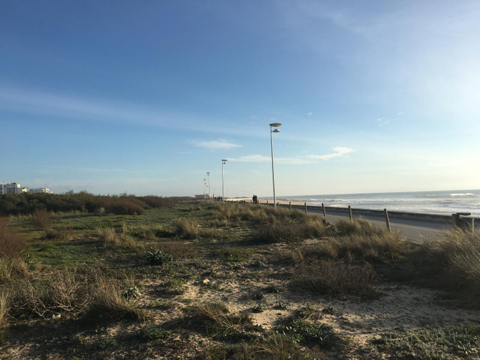 Surrounding environment 3, Beach Park Guesthouse, Vila do Conde