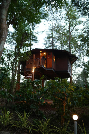 Exterior & Views, Pugmarks Jungle Resort, Wayanad