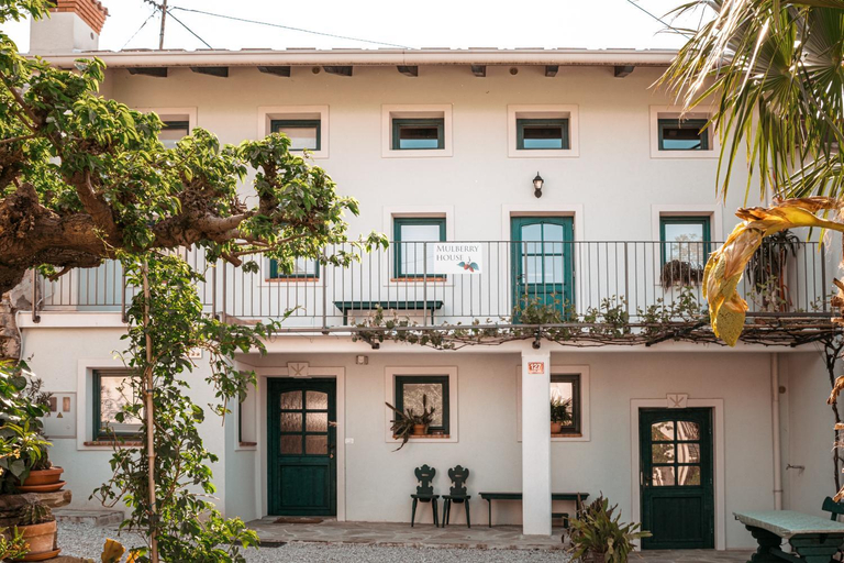 Mulberry house, Nova Gorica