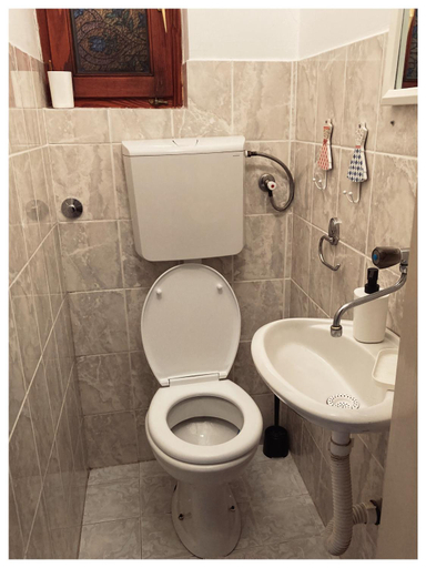 Bathroom 2, Vila Jelena, Tara, Bajina Bašta