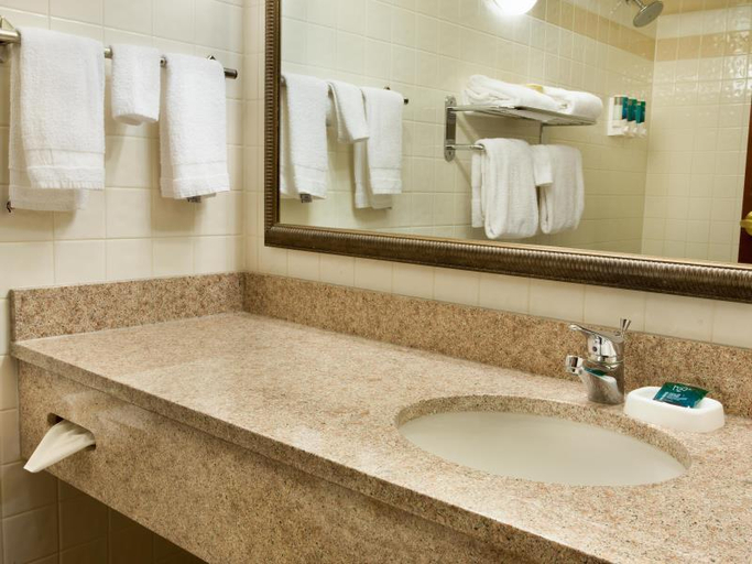 Bathroom, Drury Plaza Hotel St. Louis Creve Coeur, Saint Louis