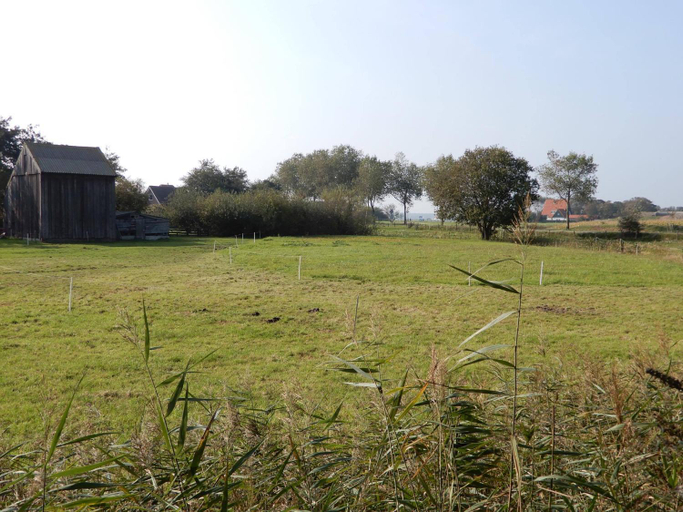 Others 5, Bed & Coffee Maricoweg, Texel