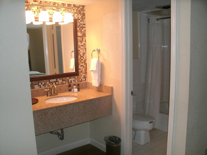 Bathroom, Quality Inn Merry Acres, Dougherty