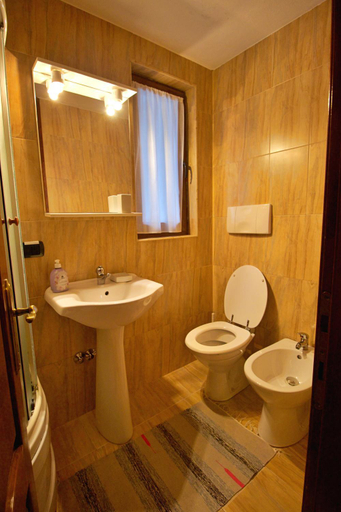 Bathroom 2, Pensiunea Nordica, Borsa