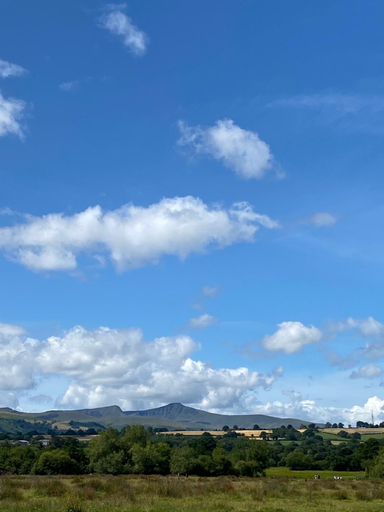 Others