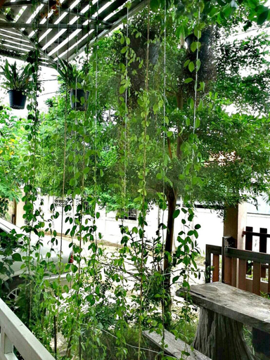 Scenery 5