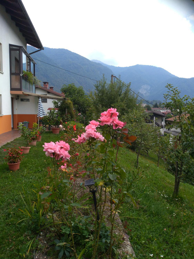 Others 4, Sobe Cernilogar, Tolmin