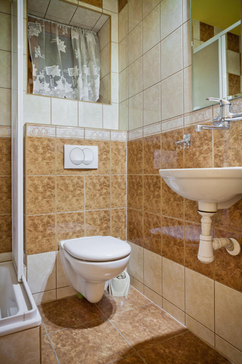 Bathroom 4, Smyrecek-centrum Bukowiny, Tatra