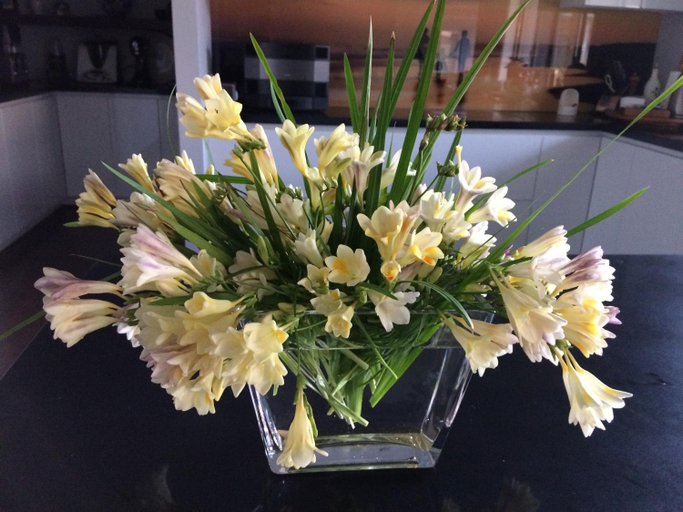 Others 3, ON Keppies - BnB - Family Farm & Wedding Guest Accommodation Paterson NSW, Dungog