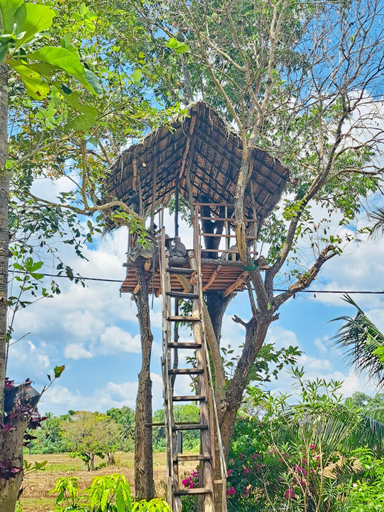 Exterior view 2, Lucky Villa Sigiriya, Dambulla