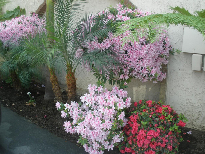 Others 5, Garden Inn and Suites, Los Angeles