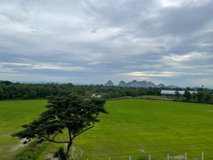 Scenery 10