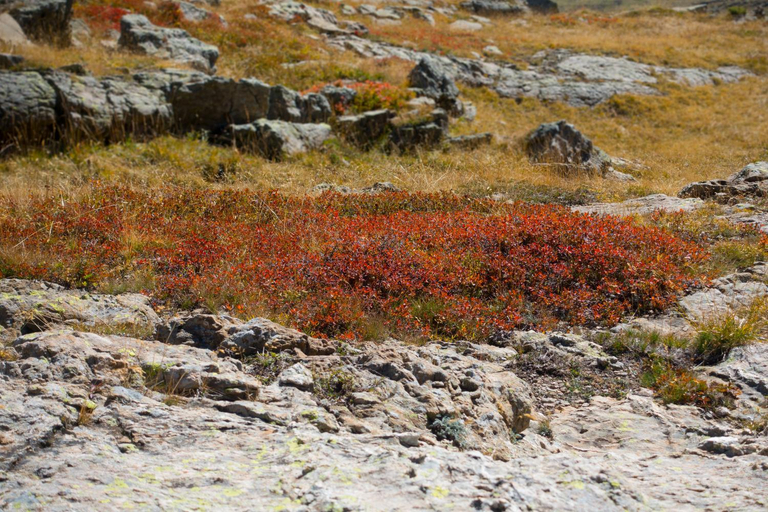 Surrounding environment 4, Maison Cimarron, Hautes-Alpes