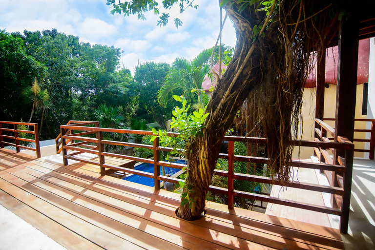 Public Area, Uolis Nah, Cozumel