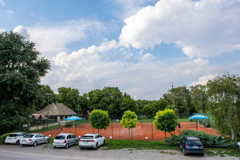 Others 4, Petlov salas rooms, Novi Sad