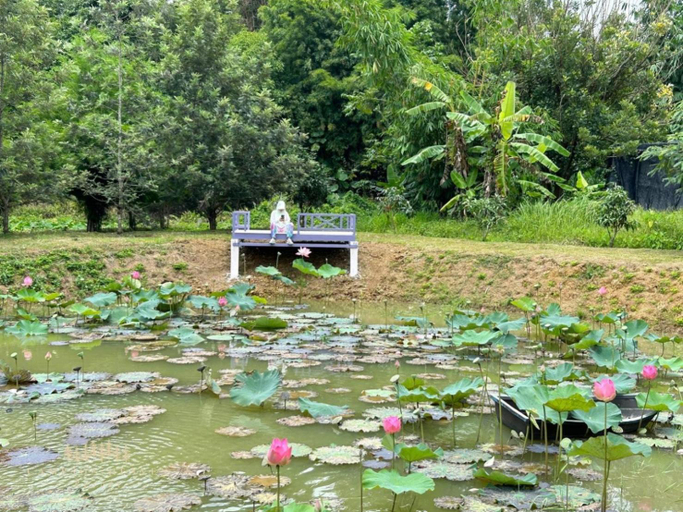 Scenery 10