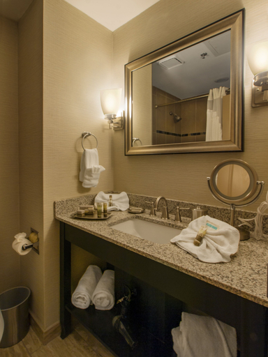 Bathroom 4, Hotel Ithaca, Tompkins