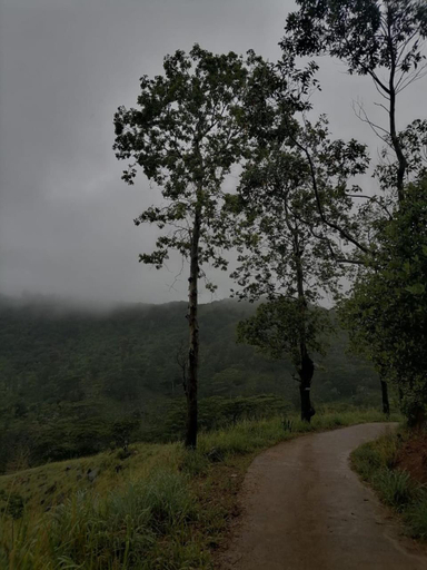 Others 5, The Off Road Homestay, Delthota