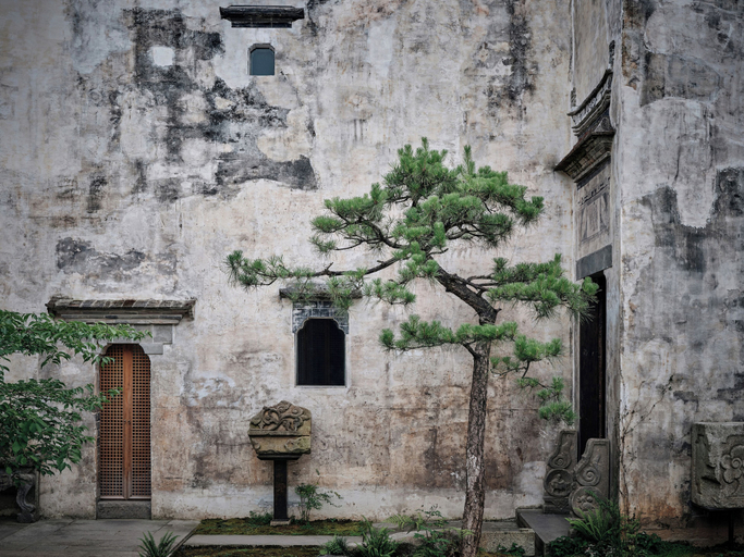 Exterior & Views, Wen Yu Hall, Huangshan