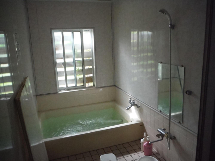 Bathroom 4, Pension Mont Cervin, Myōkō