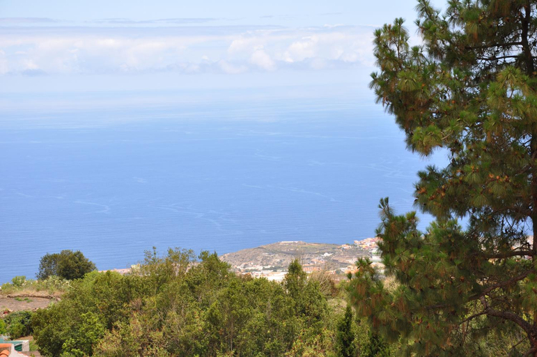 Others 4, Oasis Hill Icod de los Vinos, Santa Cruz de Tenerife