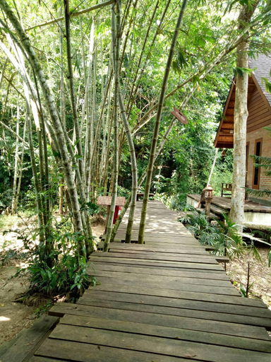 Scenery 9