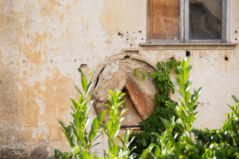 Others 5, Domus Festina Lente, Terni