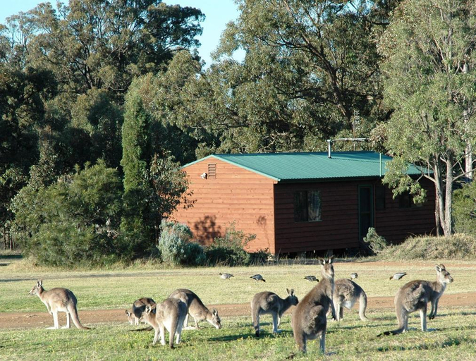 Others 4, Hunter Hideaway Cottages, Cessnock