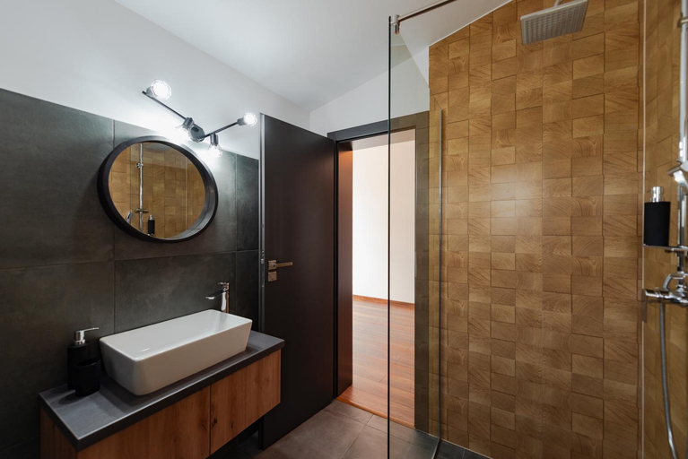 Bathroom, Watra Chalet, Vatra Dornei
