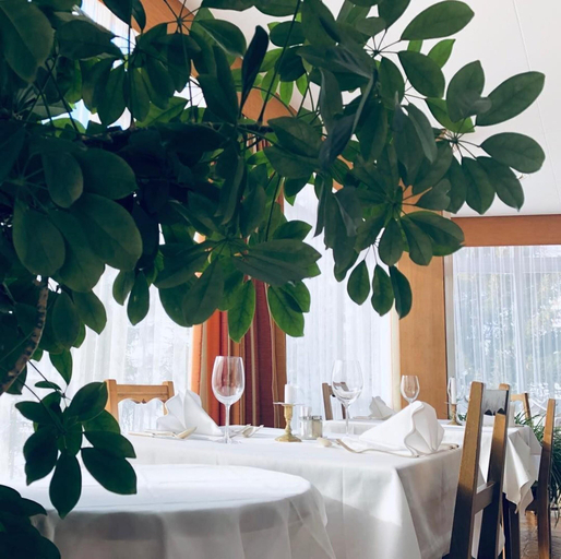Food & Drinks 5, Hotel Regina Terme, Leuk