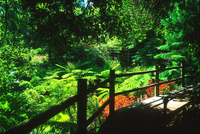 The Falls Rainforest Cottages, Maroochy