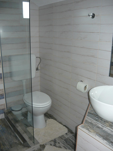 Bathroom 2, CASA DE OASPETI LIVIU, Praid