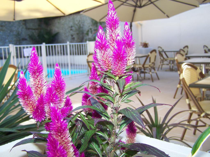 Exterior & Views 2, Inter-Hotel Auclair, Creuse