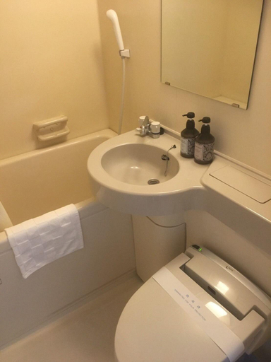 Bathroom 4, Okinawa Hotel Continental, Naha