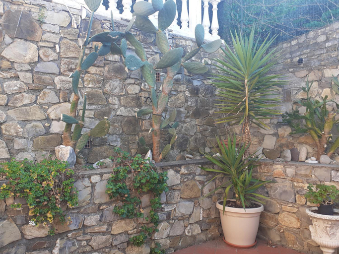 Exterior & Views 2, Appartamento in magnifica zona residenziale, Savona