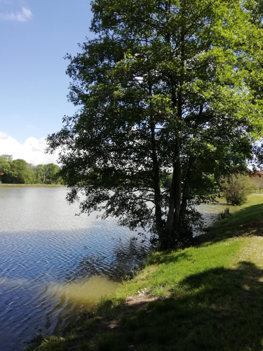 Others 4, AU CLOS DE L'ETANG, Puy-de-Dôme