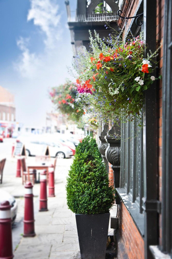 Exterior & Views 2, Crown Hotel, Surrey