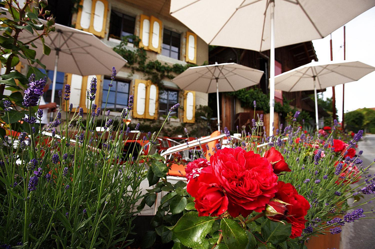 Food & Drinks, BnB Belle5, Broye-Vully