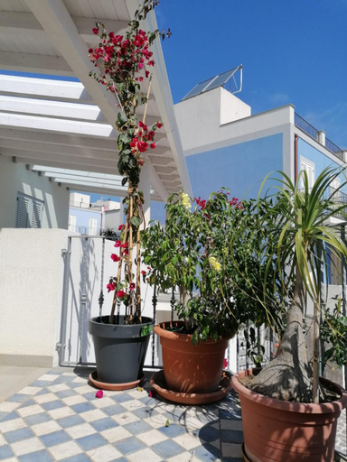 Others 5, Villa Portinente, Messina