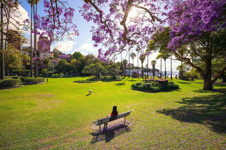 Exterior & Views 2, Carnarvon Lodge, Sydney