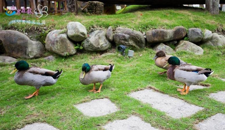 Others 4, River Forest Resort Hotel, Yilan