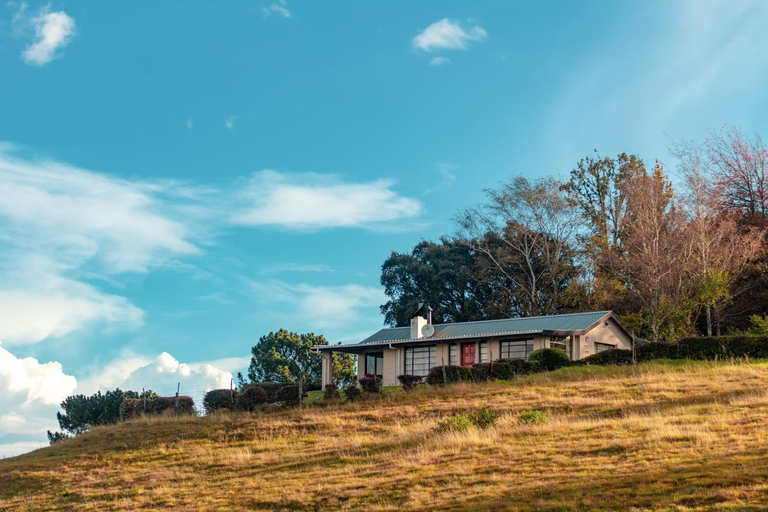 Daneswold Country Cottage and Manor House, Amathole