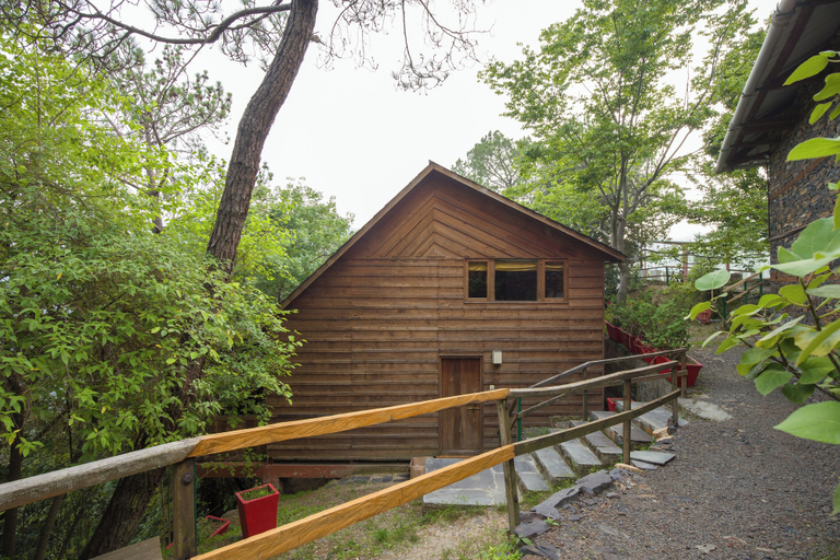 Exterior & Views 2, Alaya Stays Suro Woodbine Chalet Cottage, Solan