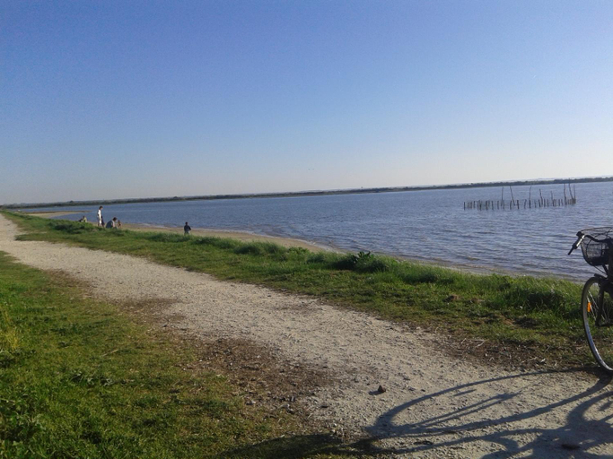 Surrounding environment