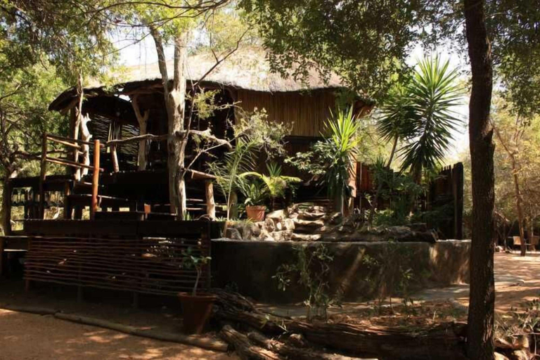 Exterior & Views 3, Offbeat Safaris, Mopani