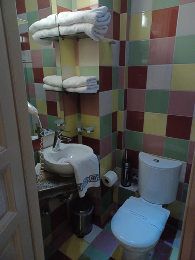Bathroom, Room "frog" in a neoclasical house, West Macedonia